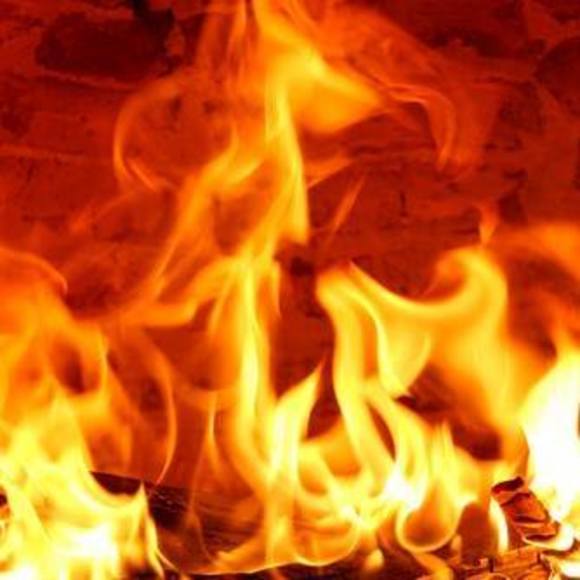 Meet your Posher, Jennifer - Picture 1 of 1